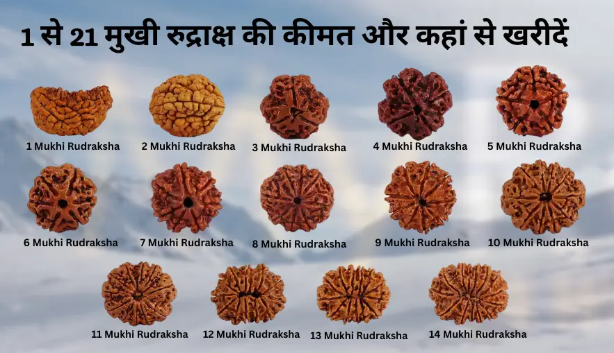 1 से 21 मुखी रुद्राक्ष की कीमत और कहां से खरीदें