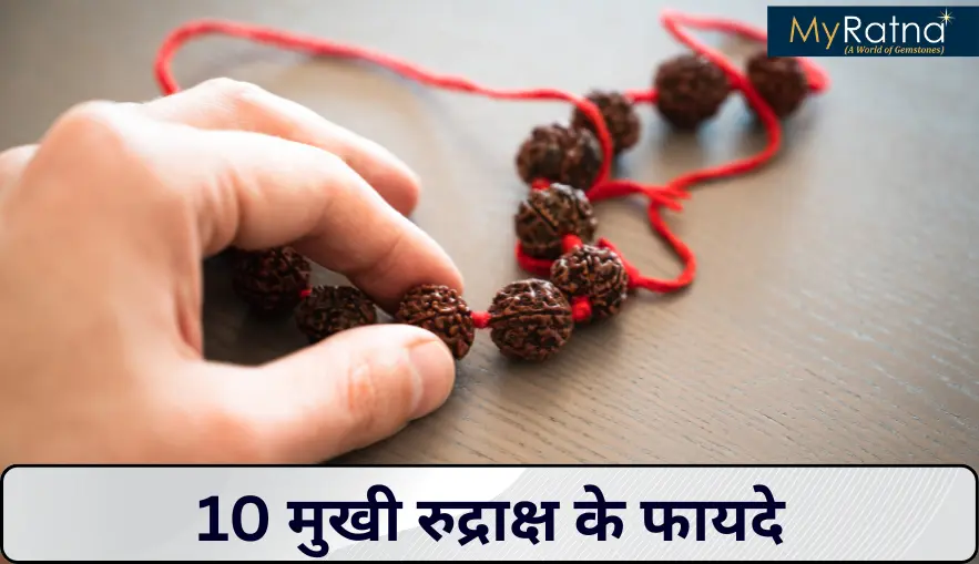 10 मुखी रुद्राक्ष के फायदे | 10 Mukhi Rudraksha Benefits in Hindi