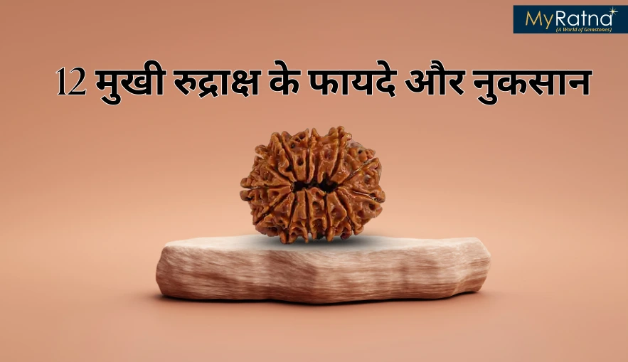 12 मुखी रुद्राक्ष के फायदे और नुकसान | 12 Mukhi Rudraksha Benefits in Hindi