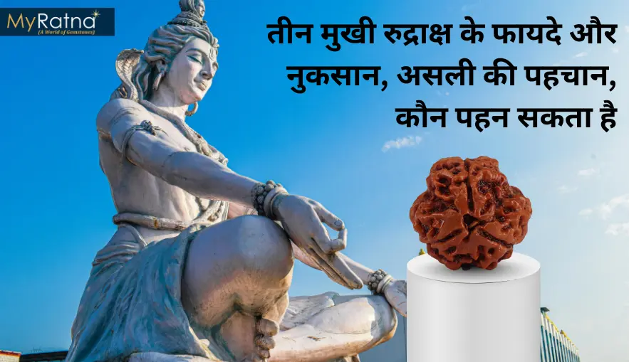 तीन मुखी रुद्राक्ष के फायदे और नुकसान | 3 Mukhi Rudraksha Benefits in Hindi