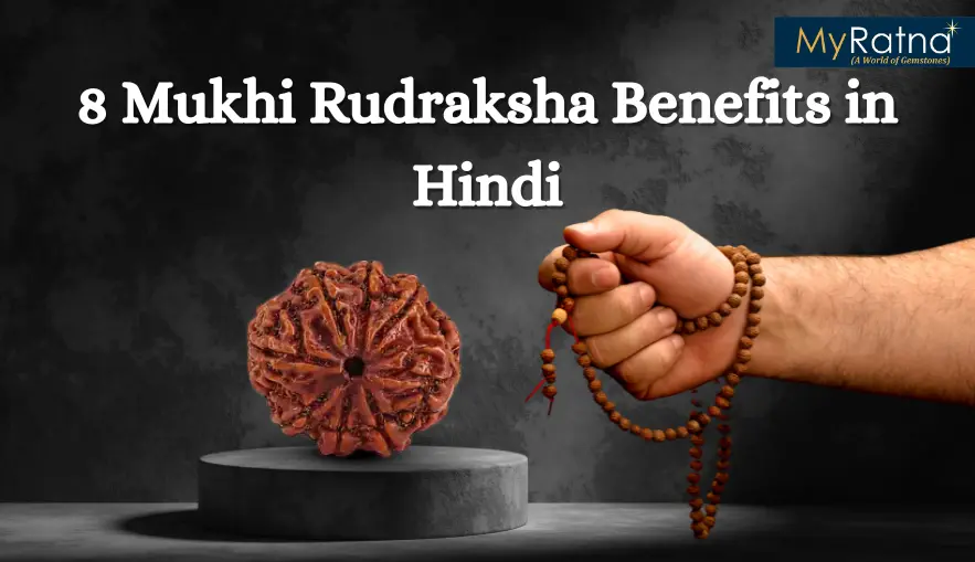 8 मुखी रुद्राक्ष के फायदे और नुकसान | 8 Mukhi Rudraksha Benefits in Hindi