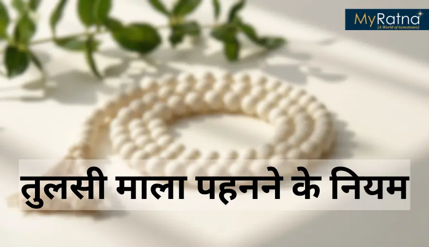 तुलसी माला पहनने के नियम: आप भी पहन रहे हैं तुलसी माला, तो इन बातों का रखें ध्यान, मिलेगा शुभ फल | Tulsi Mala Ke Niyam Aur Fayde
