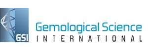 GSI