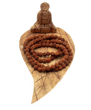 Rudraksha