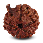 ganesha-rudraksha