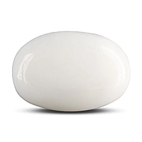 White Coral (Safed Moonga)