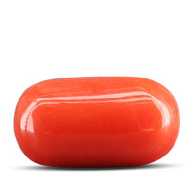 Red Coral Gemstone