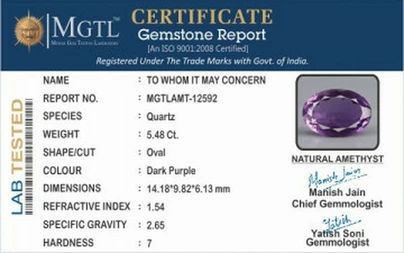 amt-12592-1160370794.jpg
