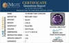 amt-12623-826602771.jpg
