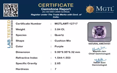 certificate_imageMGTLAMT-12717_1715325242.png