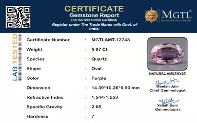 certificate_imageMGTLAMT-12743_1715593809.png