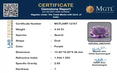 certificate_imageMGTLAMT-12747_1715595946.png