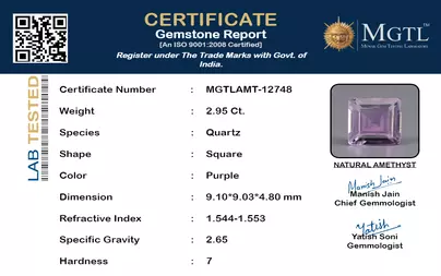 certificate_imageMGTLAMT-12748_1715596037.png