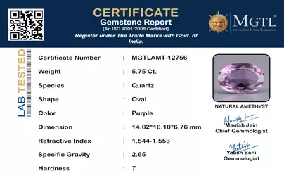 certificate_imageMGTLAMT-12756_1715596815.png