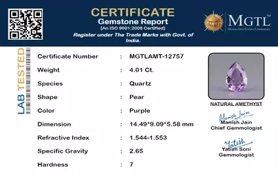 certificate_imageMGTLAMT-12757_1715596929.png
