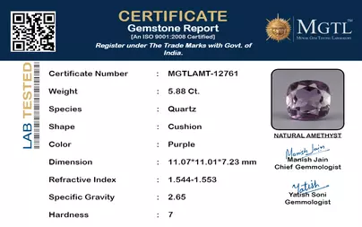certificate_imageMGTLAMT-12761_1715597287.png