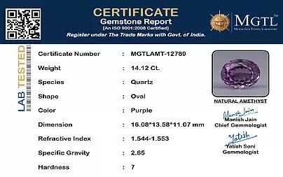 certificate_imageMGTLAMT-12789-23961.png