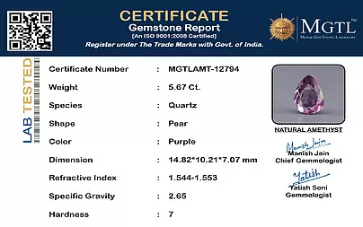certificate_imageMGTLAMT-12794-84235.png
