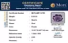 certificate_imageMGTLAMT-12795-79051.png