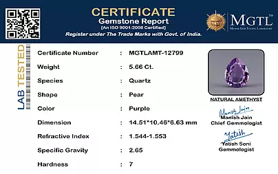 certificate_imageMGTLAMT-12799-44512.png