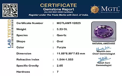 certificate_imageMGTLAMT-12823-11865.png