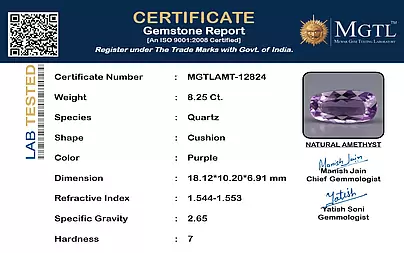 certificate_imageMGTLAMT-12824-63537.png