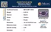 certificate_imageMGTLAMT-12824-63537.png