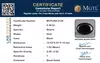 certificate_imageMGTLBO-3128_1722069743.png