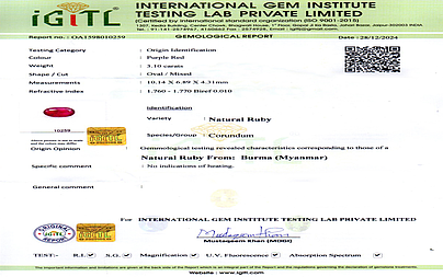 certificate_imageBR-7506_1736497107.jpg