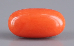 Italian Red Coral - 4.67 Carat Limited Quality CC-5514