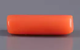 Italian Red Coral - 4.04 Carat Prime Quality CC-5549