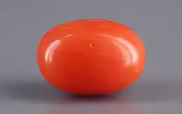 Italian Red Coral - 3.89 Carat Limited Quality CC-5568