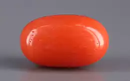 Italian Red Coral - 4.07 Carat Limited Quality CC-5569