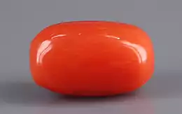 Italian Red Coral - 5.07 Carat Limited Quality CC-5615