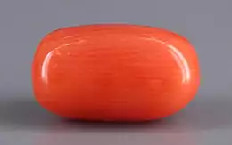 Italian Red Coral - 4.88 Carat Limited Quality CC-5618