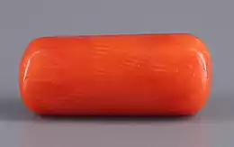 Italian Red Coral - 5.12 Carat Prime Quality CC-5627 
