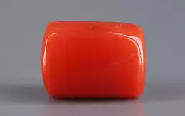 Italian Red Coral - 4.97 Carat Limited Quality CC-5633