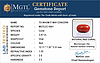 certificate_imageCC-5661-71362.jpg