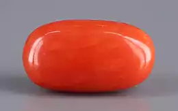 Italian Red Coral - 4.27 Carat Limited Quality CC-5662
