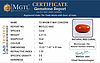 certificate_imageCC-5662-53401.jpg