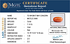 certificate_imageCC-5690-72639.jpg