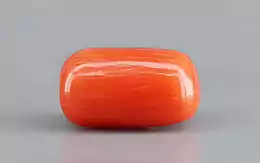 Italian Red Coral - 3.95 Carat Limited Quality CC-5739