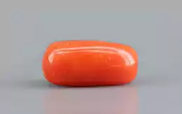Italian Red Coral - 3.96 Carat Limited Quality CC-5741