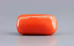 Italian Red Coral - 18.28 Carat Limited Quality CC-5786