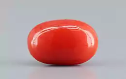 Italian Red Coral - 4.72 Carat Limited Quality CC-5795