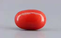 Italian Red Coral - 4.75 Carat Limited Quality CC-5802