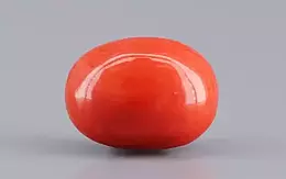 Italian Red Coral - 4.08 Carat Limited Quality CC-5803