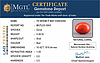 certificate_imageCC-5803-96330.jpg