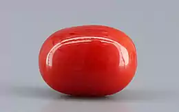Italian Red Coral - 4.15 Carat Limited Quality CC-5806