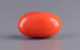 Italian Red Coral - 5.22 Carat Rare Quality CC-5814